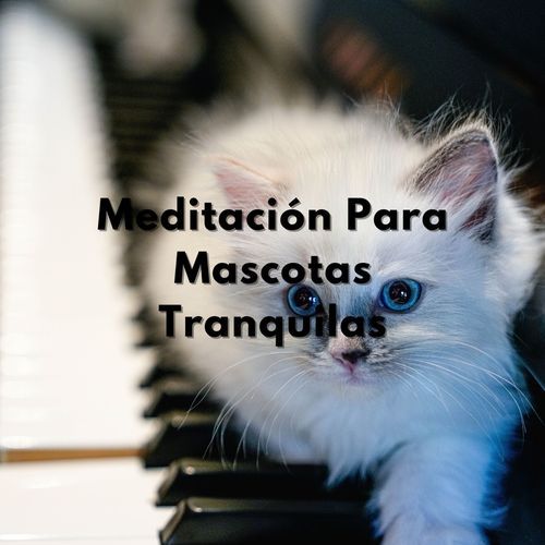 Paz Interior En Mininos cover art