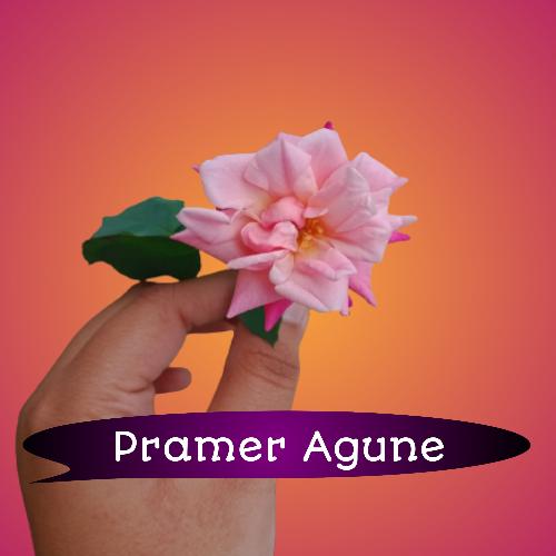 Pramer Agune (প্রেমের আগুনে)