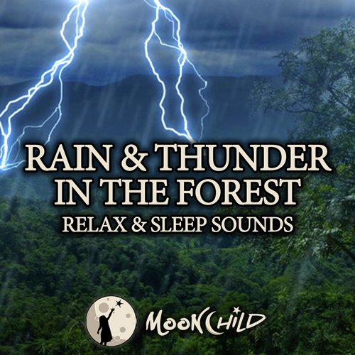 Rain and Thunder in the Forest_poster_image