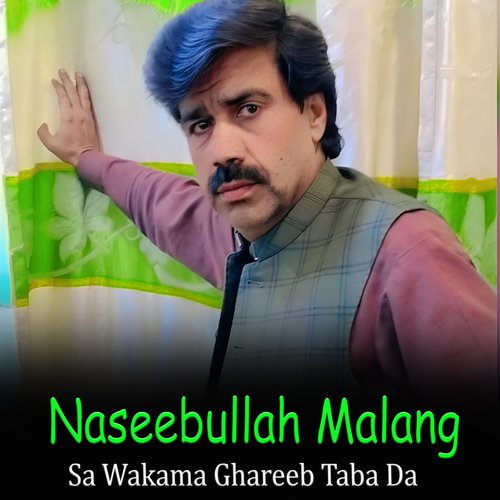 Sa Wakama Ghareeb Taba Da