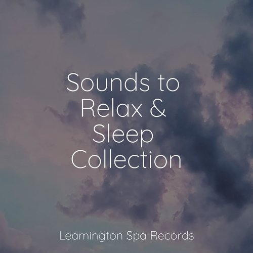 Sounds to Relax & Sleep Collection