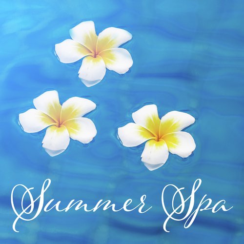 Spa Music Paradise cover art