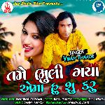 Tame Bhuli Gaya Ema Hu Su Karu