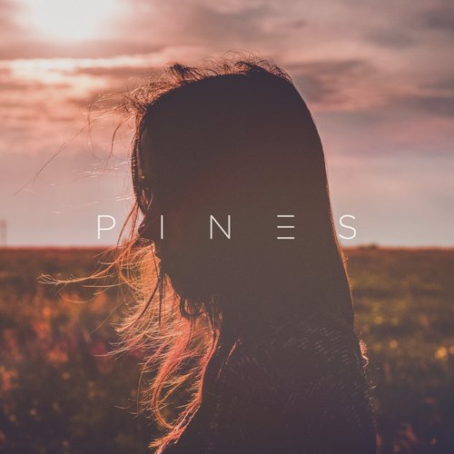  Pines