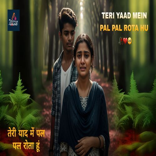 Teri Yaad Me Pal Pal Rota Hu