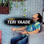 Teri Yaade