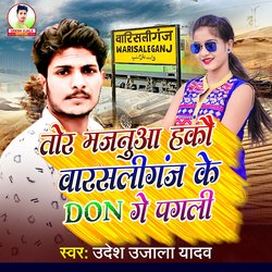 Tor Majanua Hau Warsaliganj Ke Don Ge Pagli (Bhujpuri)