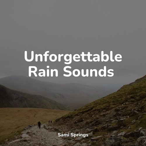 Unforgettable Rain Sounds_poster_image