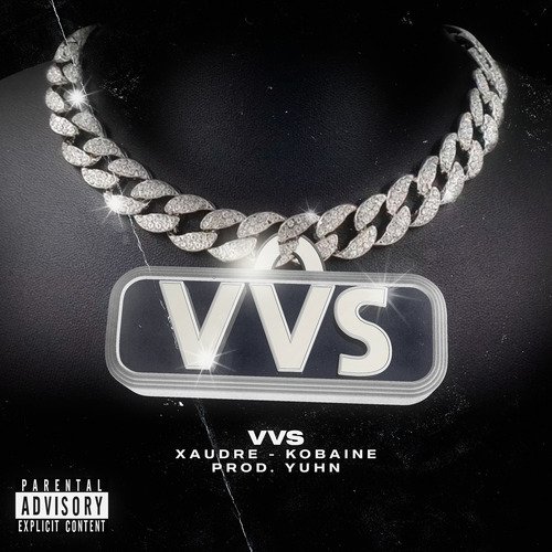 Vvs cover art