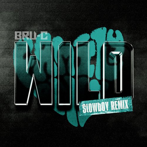 Wild (Slowboy Remix) cover art
