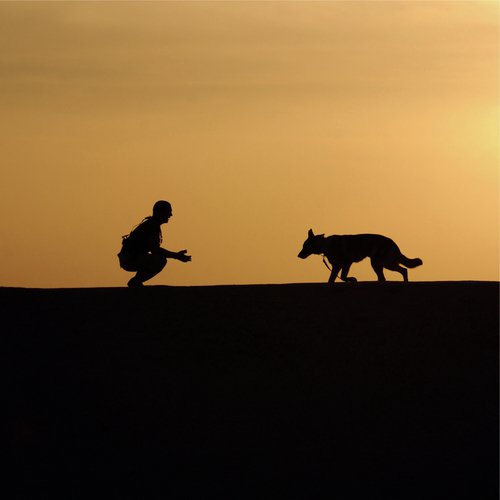 Lazy Morning cover art