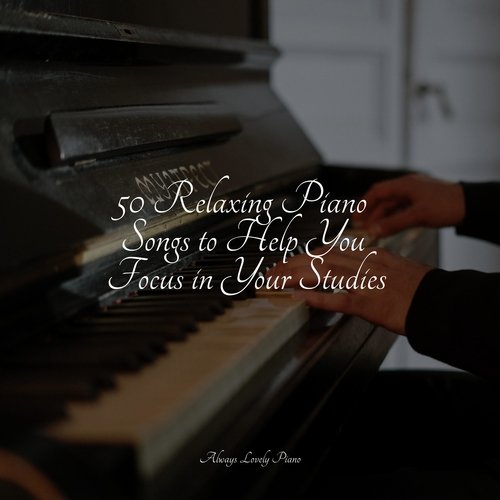 50 Relaxing Piano Songs to Help You Focus in Your Studies