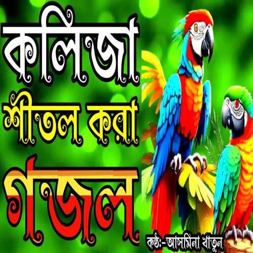 Amay Boila Daunago Konba Pothe Ami Zabo Modina