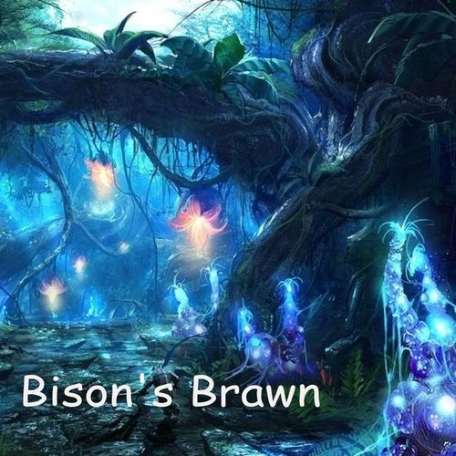 Bison's Brawn cover art