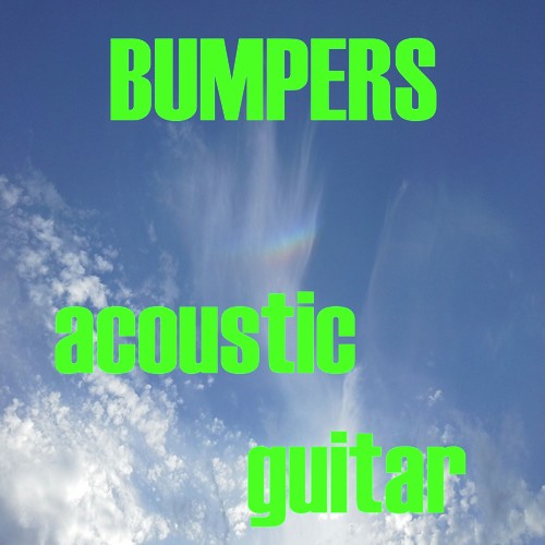 Bumpers Acoustic Guitar