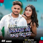 Dilwa Me Jagah Debu Ka