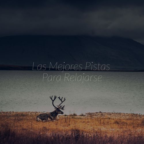 Encanto de Días Felices de Blissful cover art