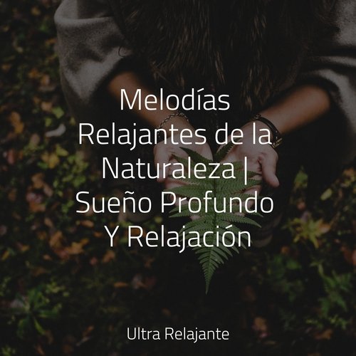 Melodías Relajantes de la Naturaleza | Sueño Profundo Y Relajación