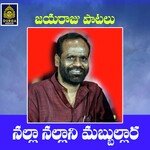 Nalla Nallani Mabbullara