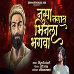 Nasa Nasat Bhinala Bhagava