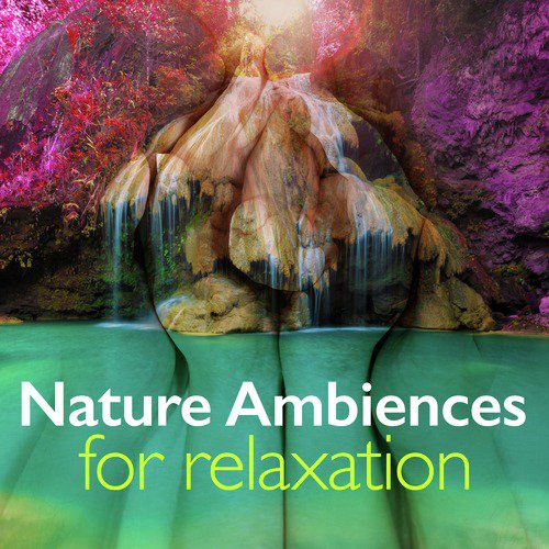 Nature Ambiences for Relaxation
