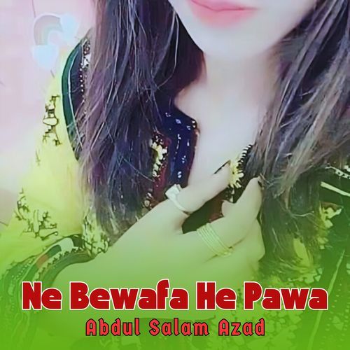 Ne Bewafa He Pawa