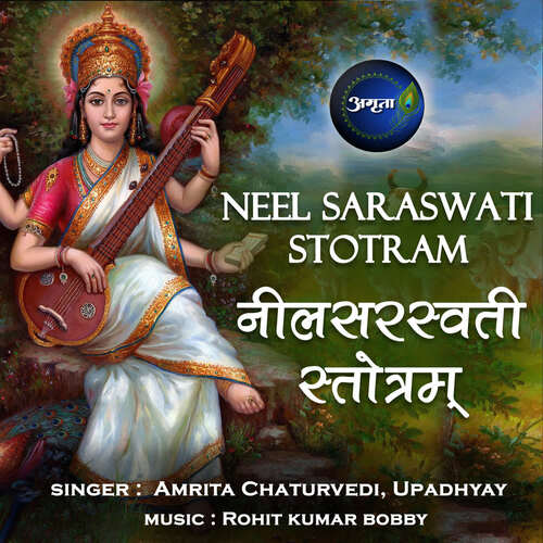 Neel Saraswati Stotram