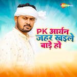 Pk Aryan Jahar Khaeele Bade Ho artwork