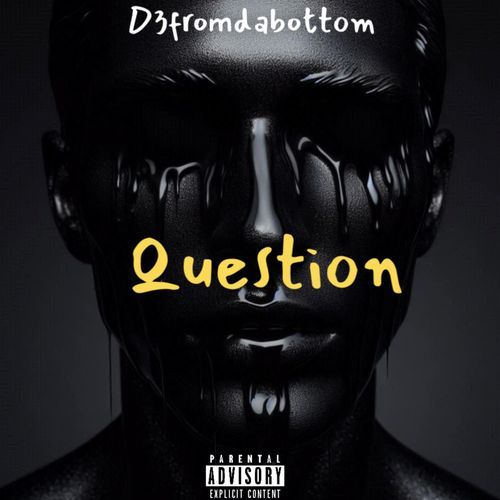 Question cover art