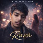 Raza artwork