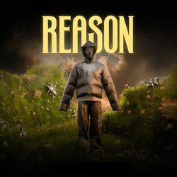 Reason-OyogB0R4flQ