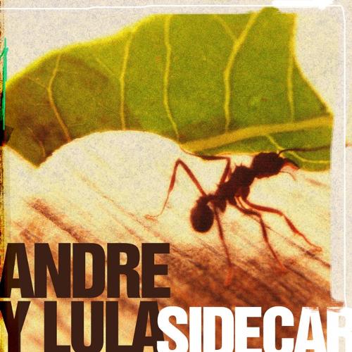 Life Extension cover art