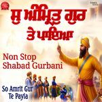 So Amrit Gur Te Payia