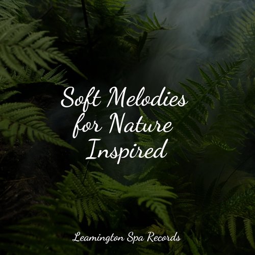 Meditating Music cover art
