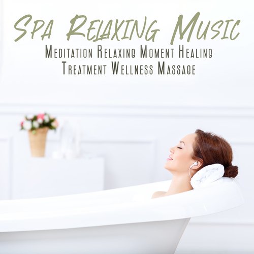 Spa Relaxing Music: Meditation Relaxing Moment, Healing Treatment, Wellness Massage_poster_image