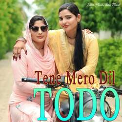 Tene Mero Dil Todo-E1EufRdvXXU