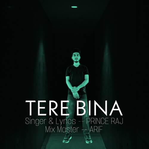 Tere Bina