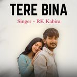 Tere Bina
