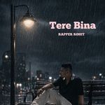 Tere Bina artwork