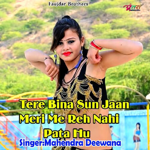 Tere Bina Sun Jaan Meri Me Reh Nahi Pata Hu