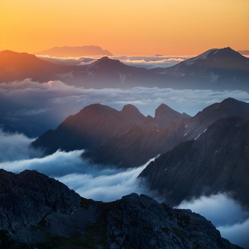 The Lofi Path Between Sunlight And Shadow