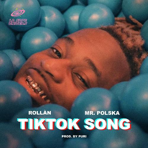 TikTok Song (feat. Mr. Polska & Puri) cover art