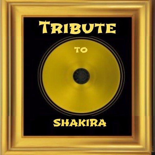 Tribute to Shakira (Hips Hits)