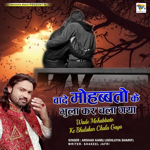 Wade Mohabbaton Ke Bhula Kar Chala Gaya (Hindi Song)