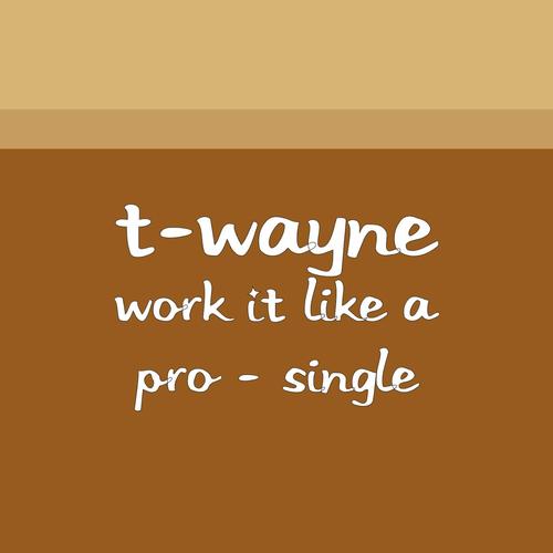 Work It Like a Pro_poster_image