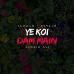 Ye Koi Dam Main Lofi