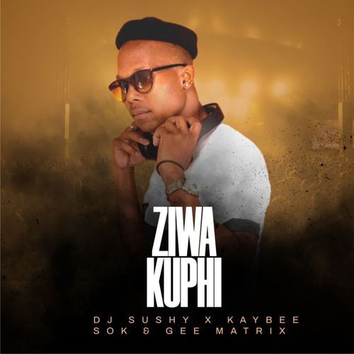 Ziwa Kuphi_poster_image