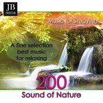 200 Music for Studyng (Sound of Nature)