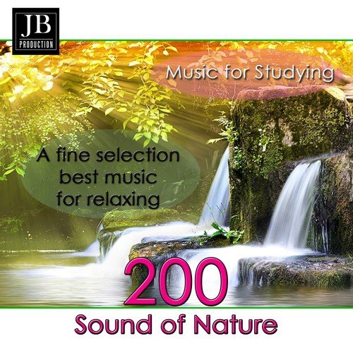 200 Music for Studyng (Sound of Nature)_poster_image