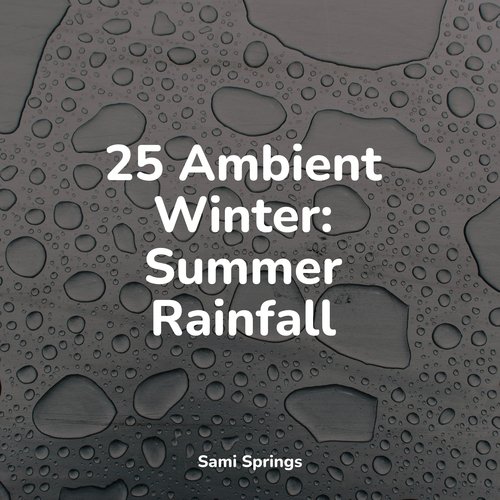 Rain, Storm and Thunder cover art